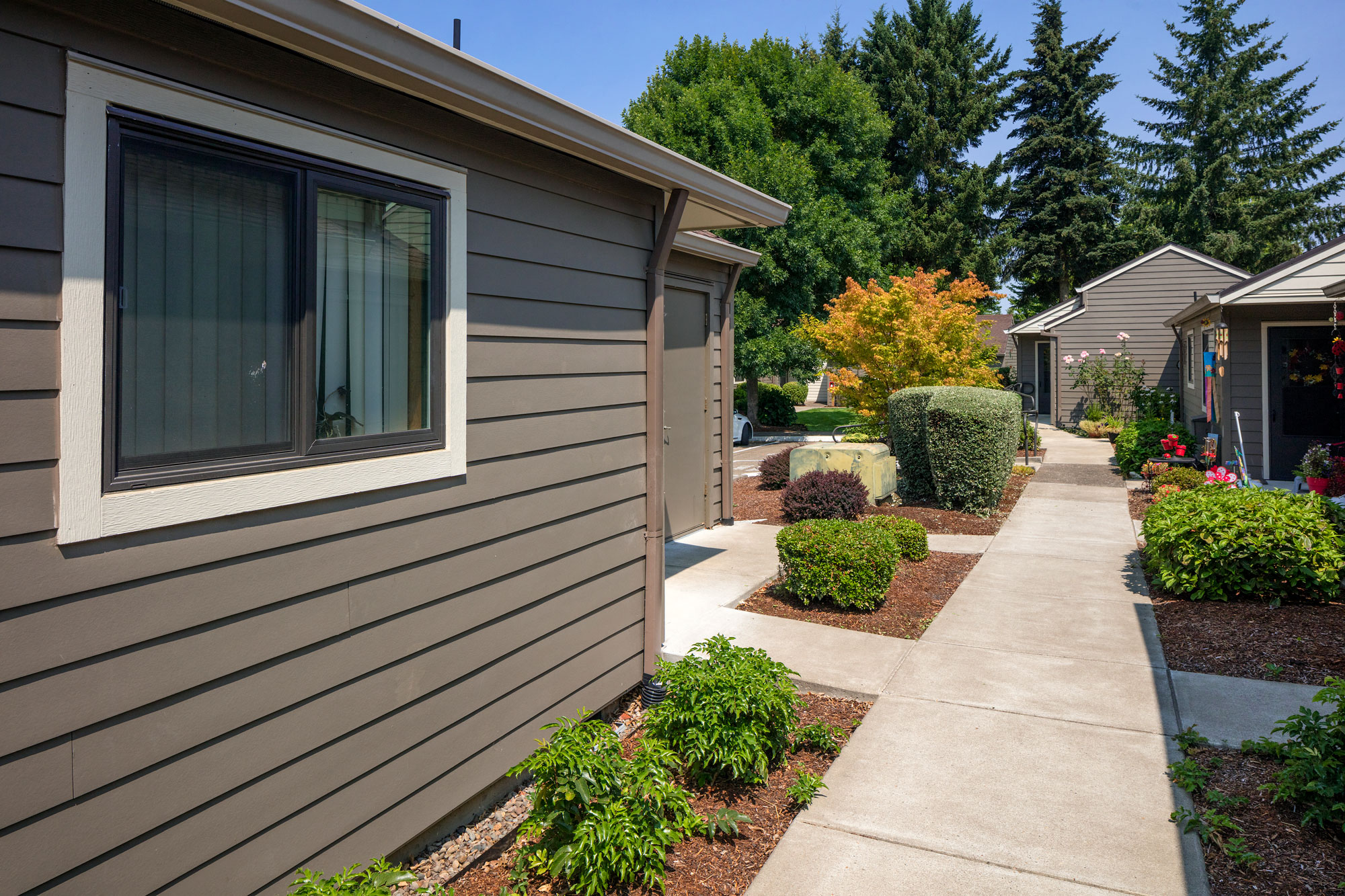 Walkway and the Apartments
