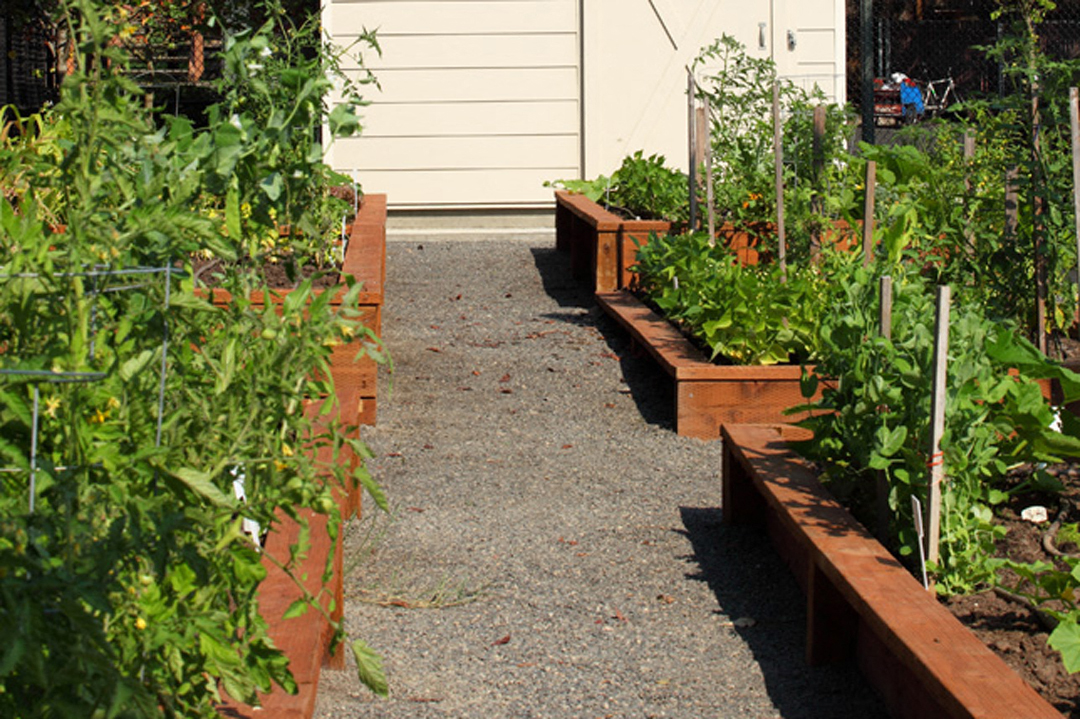 TownCenterStation_Photo_Garden