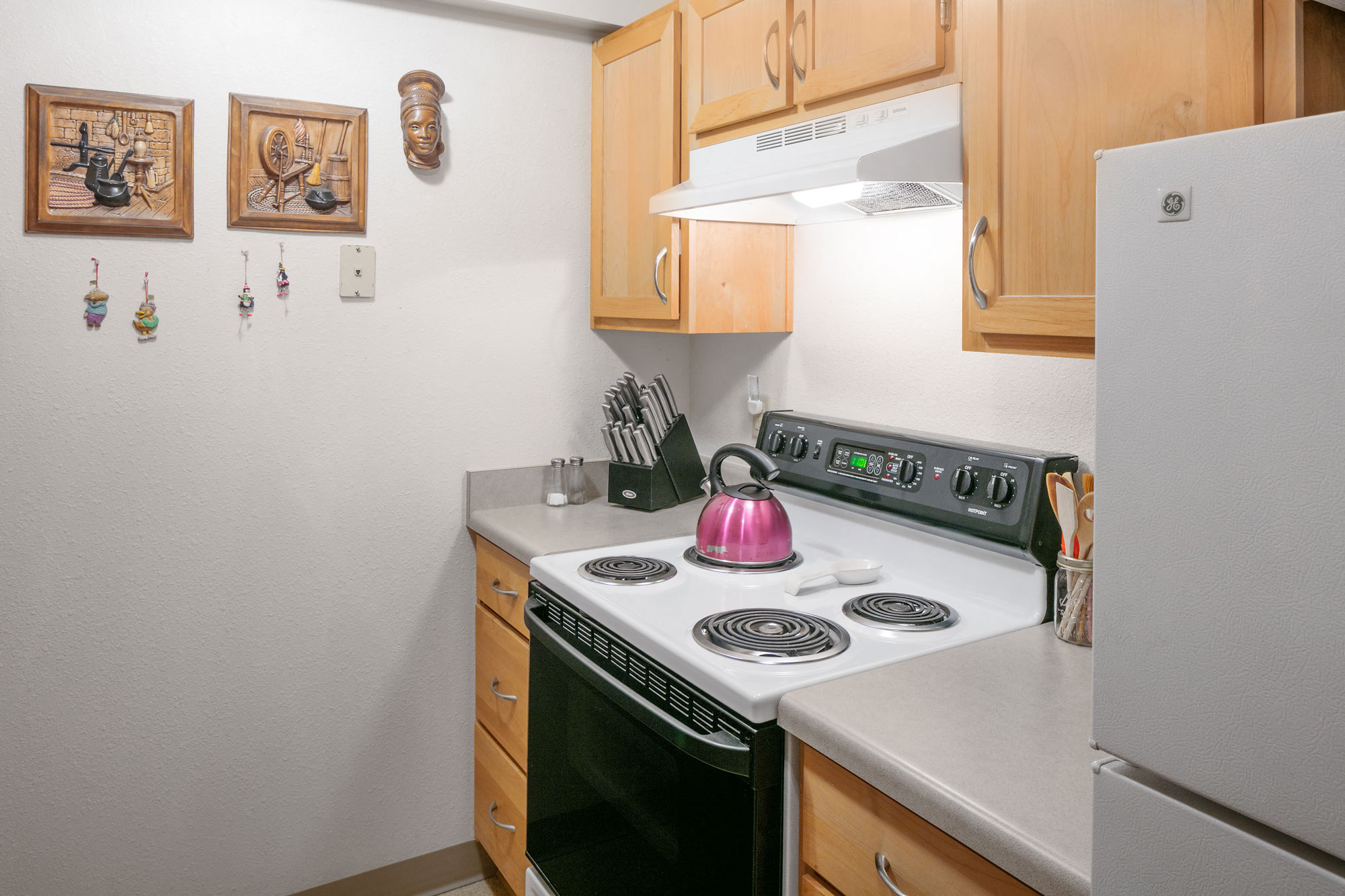 Kitchen stove and fridge