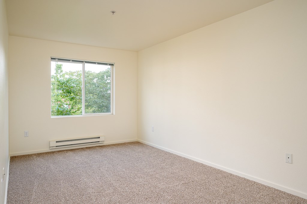 A room with a window and a carpeted floor.