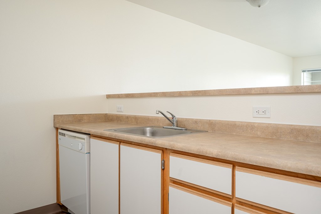 A kitchen with a sink and a dishwasher.