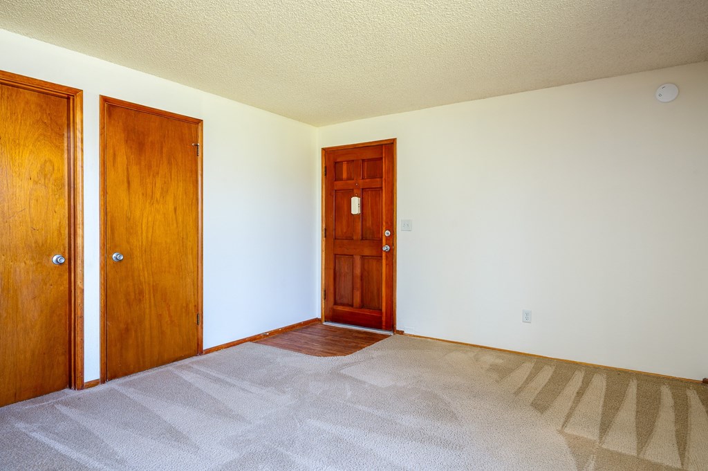 A room with a carpeted floor and two wooden doors.