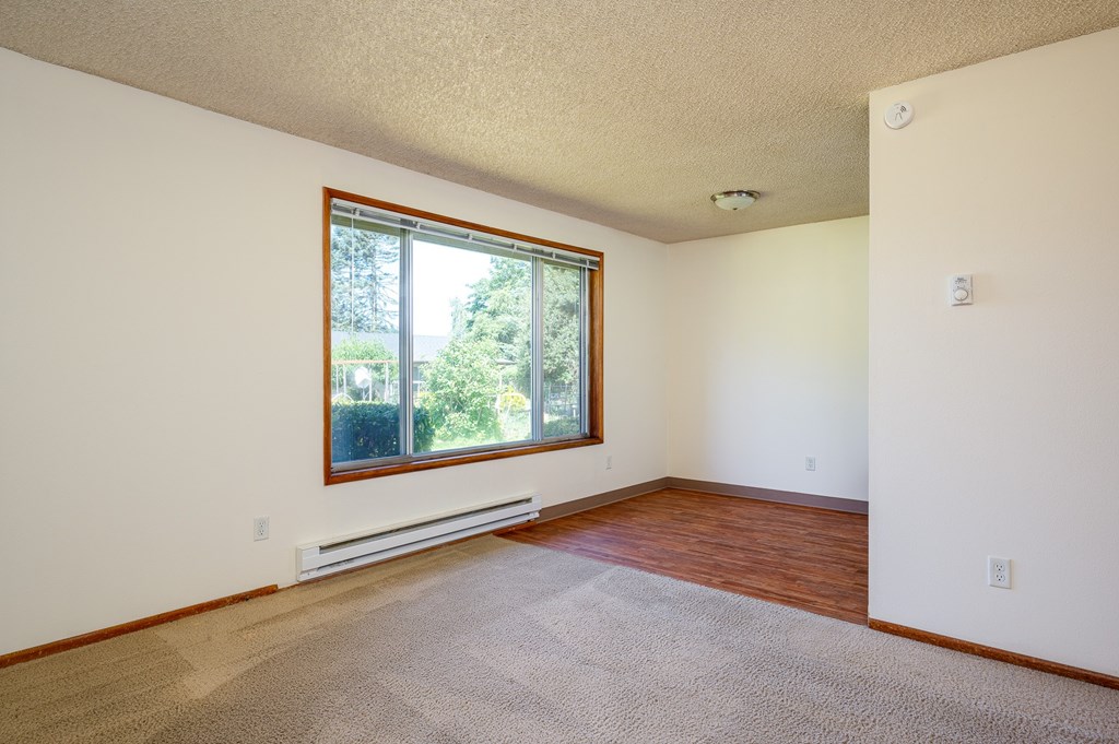 A room with a window and a carpet on the floor.