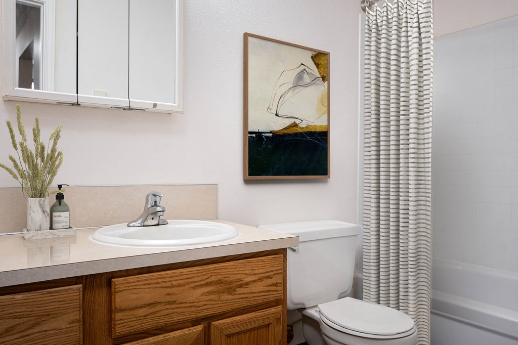 a bathroom with a sink toilet and shower with a shower curtain