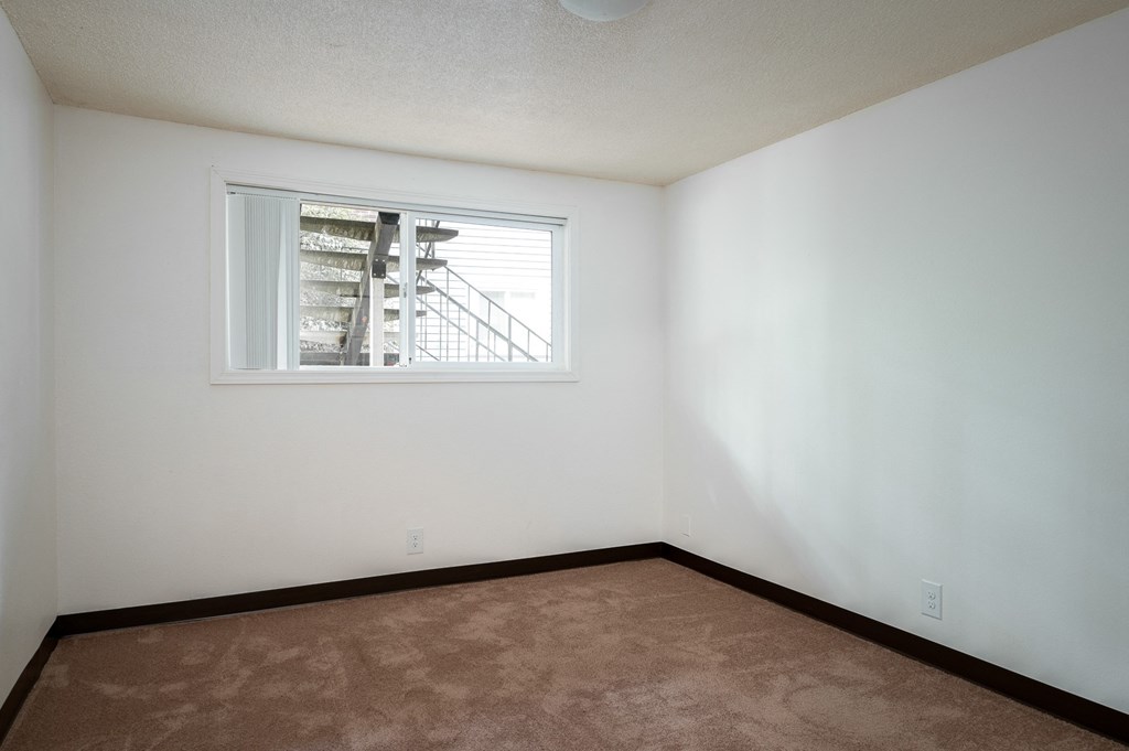 an empty room with a window and a carpet
