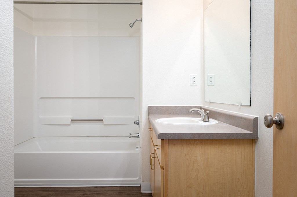 a bathroom with a sink and a bathtub