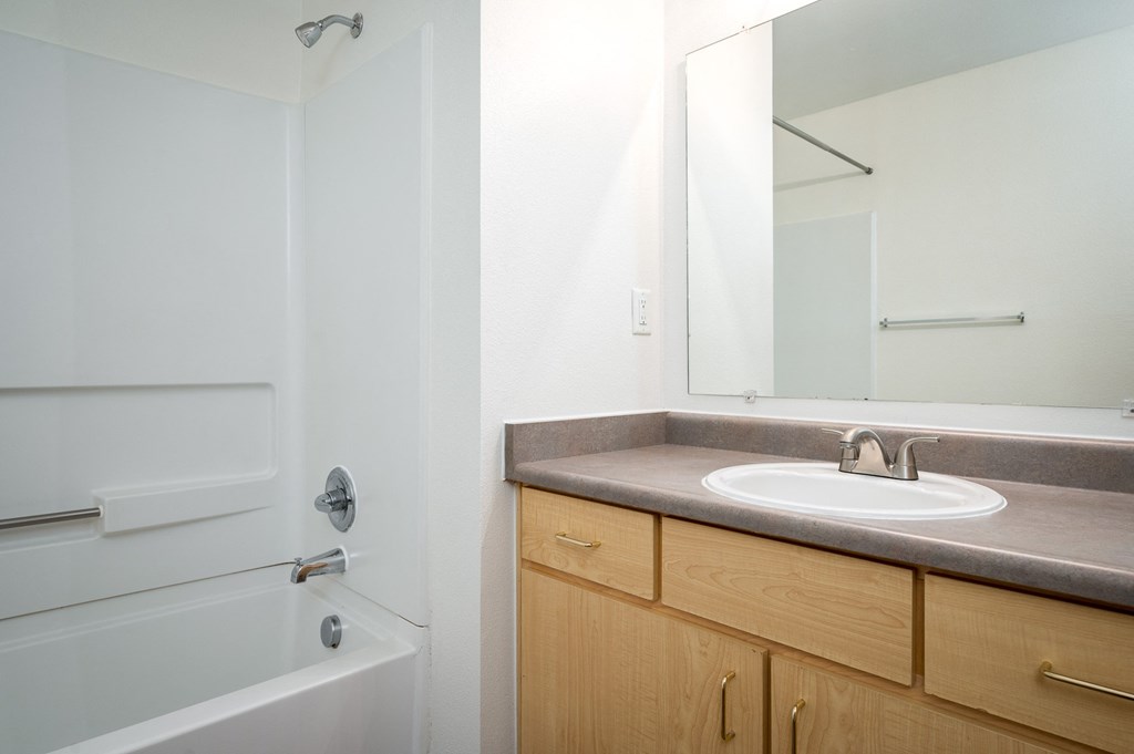 a bathroom with a sink and a bathtub