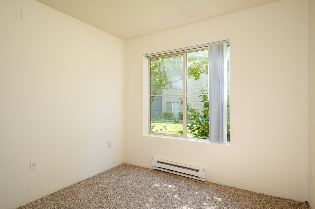 A room with a window and a carpet on the floor.