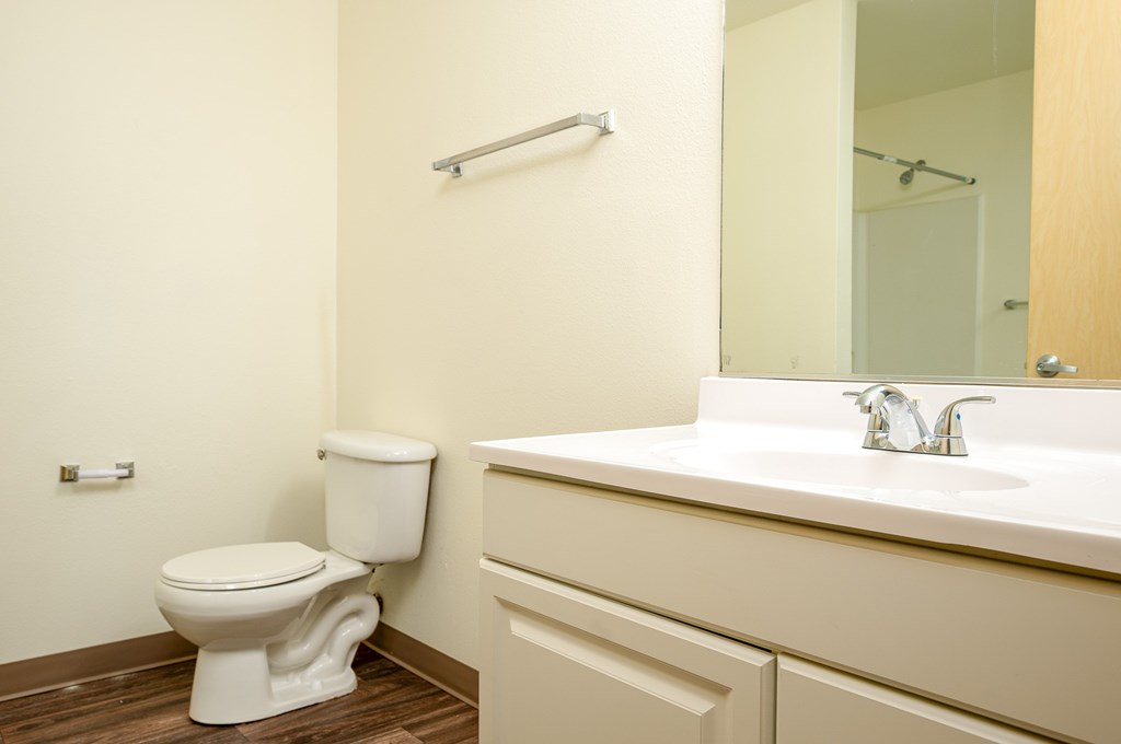 A white toilet sits next to a sink in a bathroom.