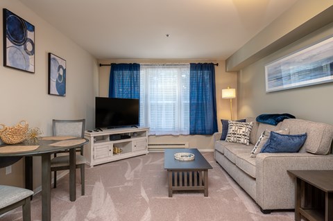 A living room with a grey couch, a coffee table, a television, and a dining table.
