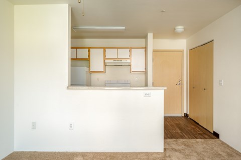 A kitchen area with a white counter and wooden cabinets.