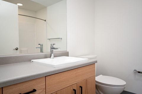 a bathroom with a sink and a toilet and a mirror