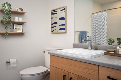 a bathroom with a sink and toilet and a mirror
