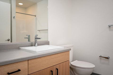 a bathroom with a sink and a toilet and a mirror