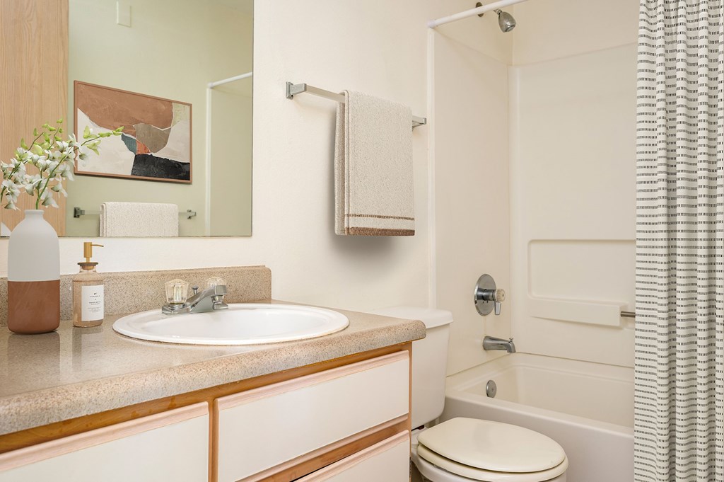 A bathroom with a sink, toilet, and shower.