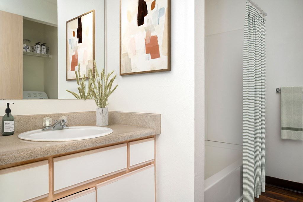 A bathroom with a white sink and a plant on the counter.