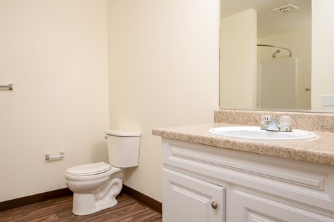 A white toilet sits next to a sink in a bathroom.