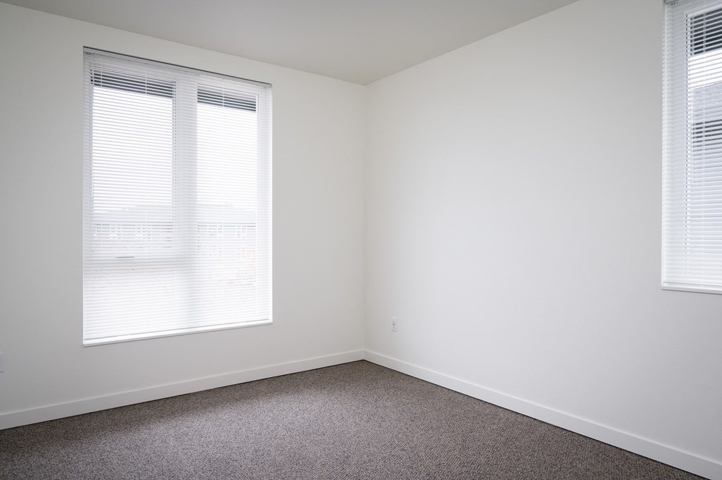 a small room with two windows and a carpeted floor