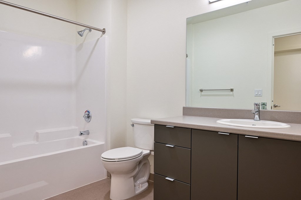 a bathroom with a bathtub toilet sink and mirror