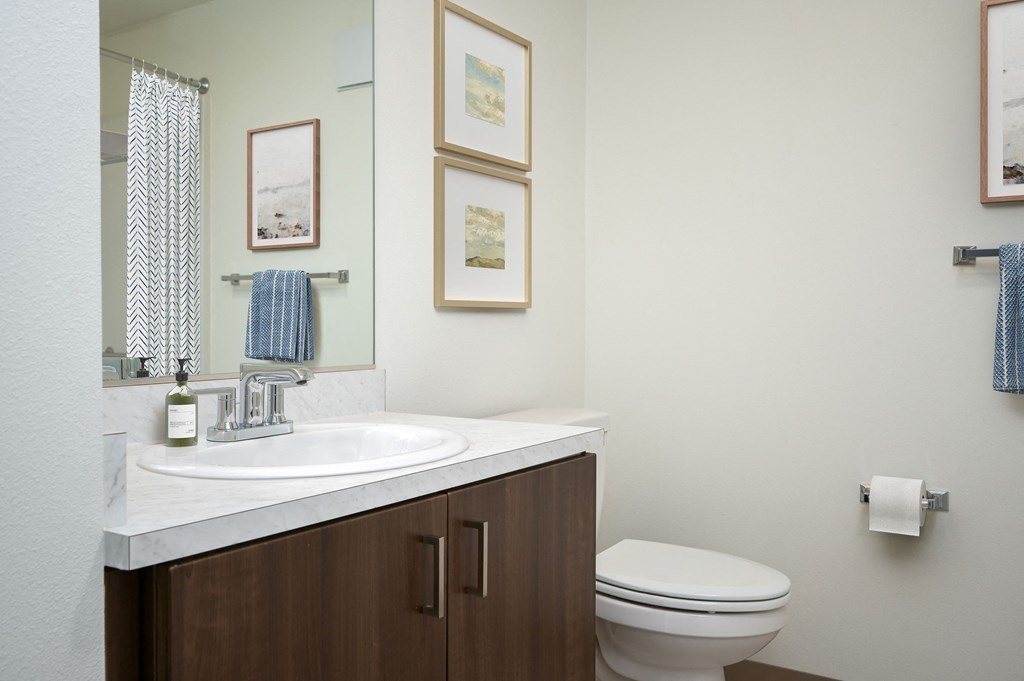 a bathroom with a sink and a toilet and a mirror
