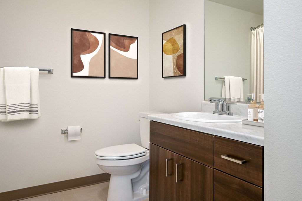 a bathroom with a toilet and a sink and a mirror