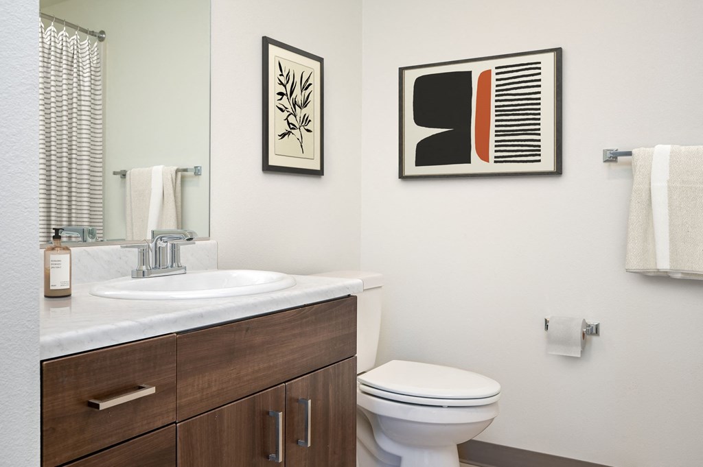 a bathroom with a sink and a toilet and a mirror
