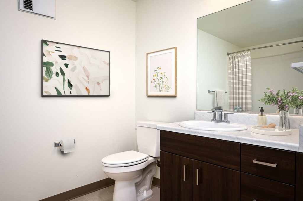 a bathroom with a toilet and a sink and a mirror