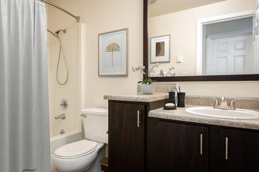 a bathroom with a toilet sink and shower and a mirror