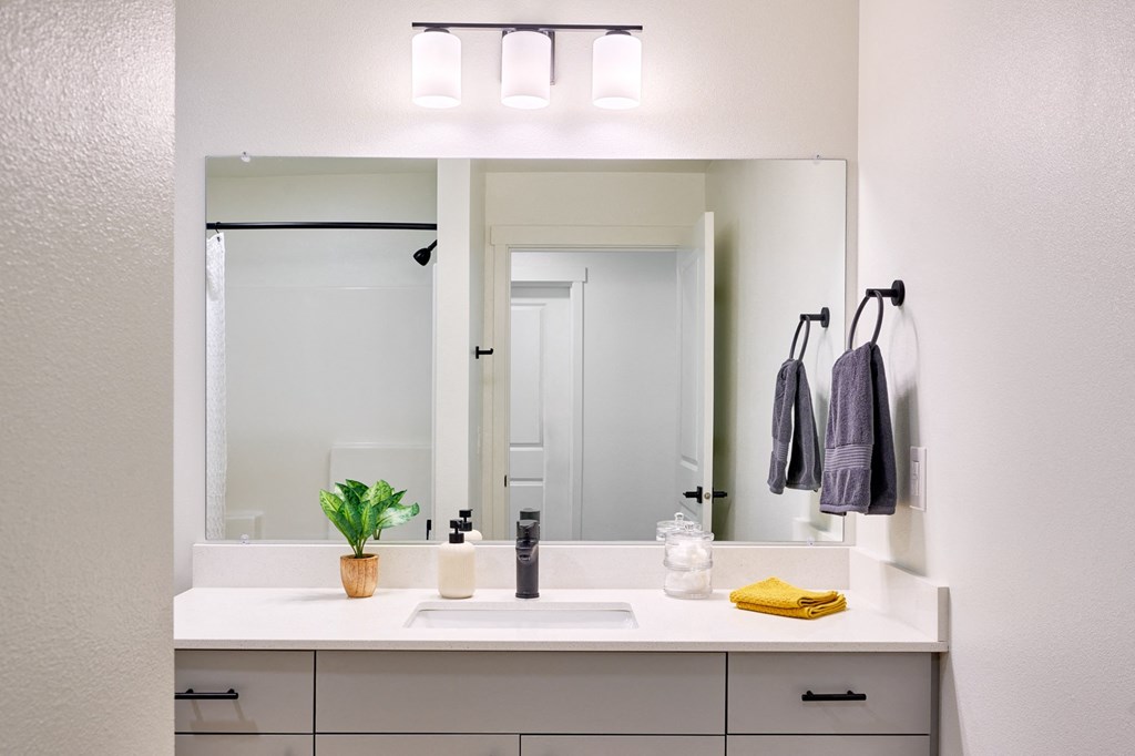 a bathroom with a sink and a mirror