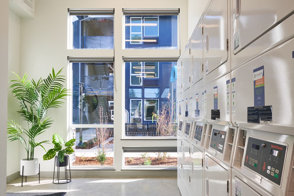 a view of a building from a hallway with a plant