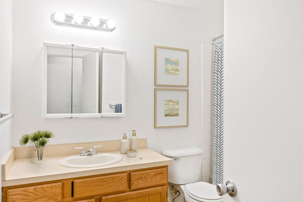 a bathroom with a mirror and a sink and a toilet