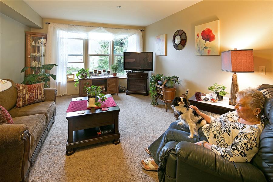 Windsor Square Living room