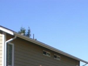 Woodsvilla Side House view - Photo Gallery 3