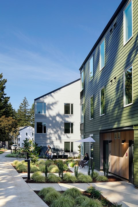 A modern house with a green exterior and a white roof.