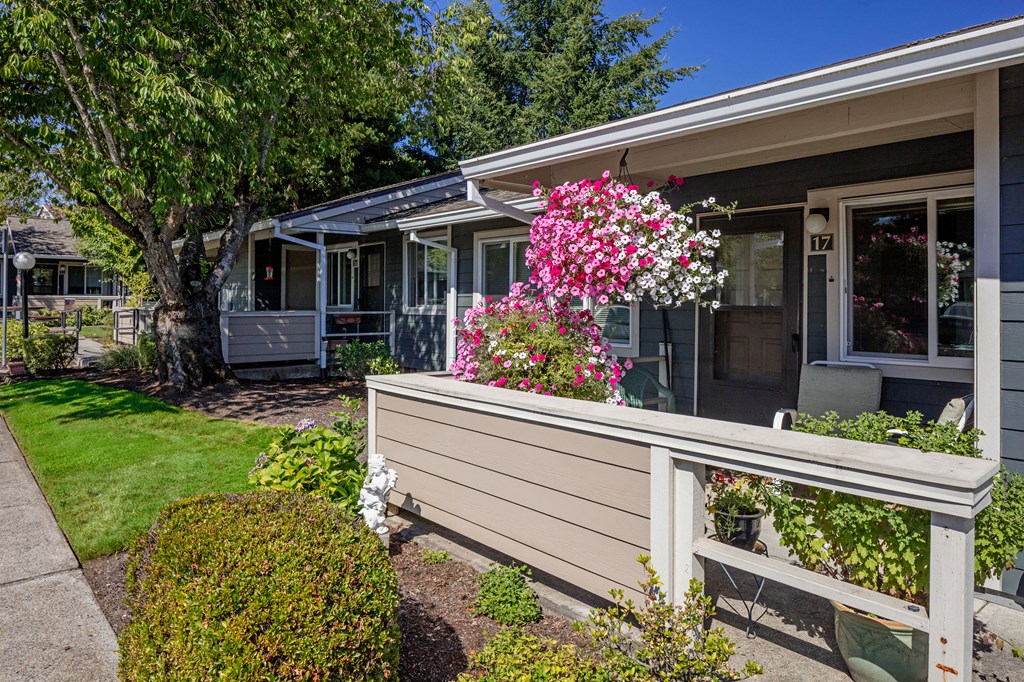 Stewart Terrace_Grounds