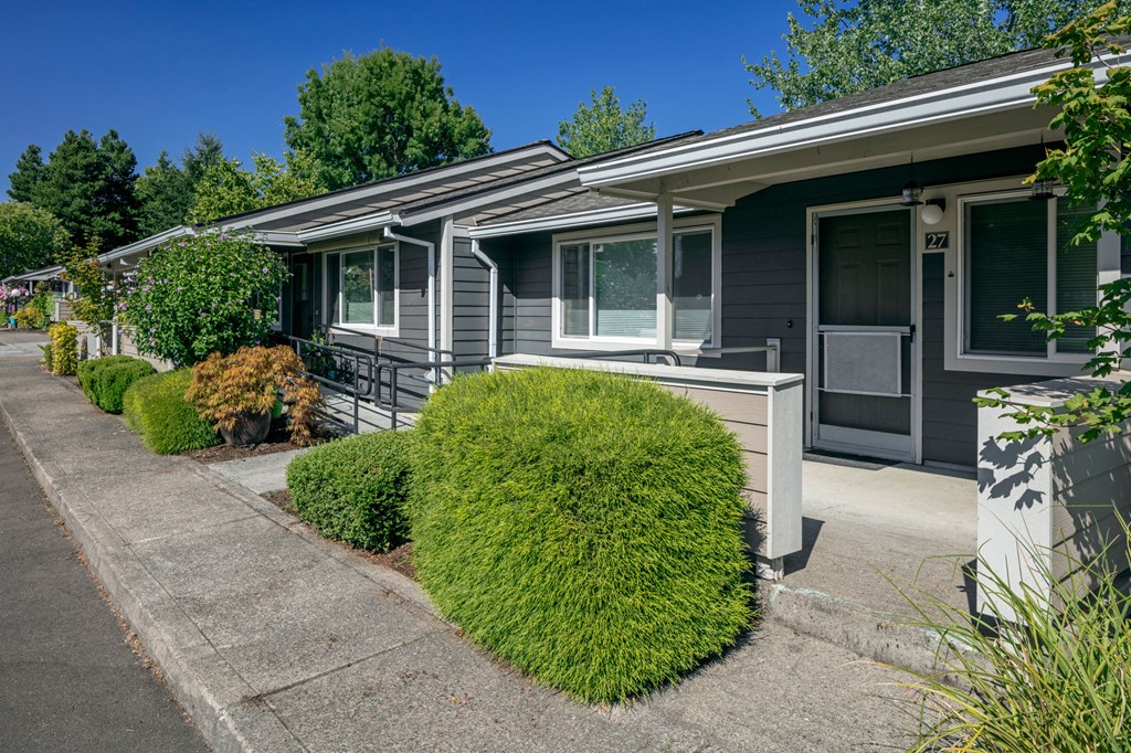 Stewart Terrace_Grounds