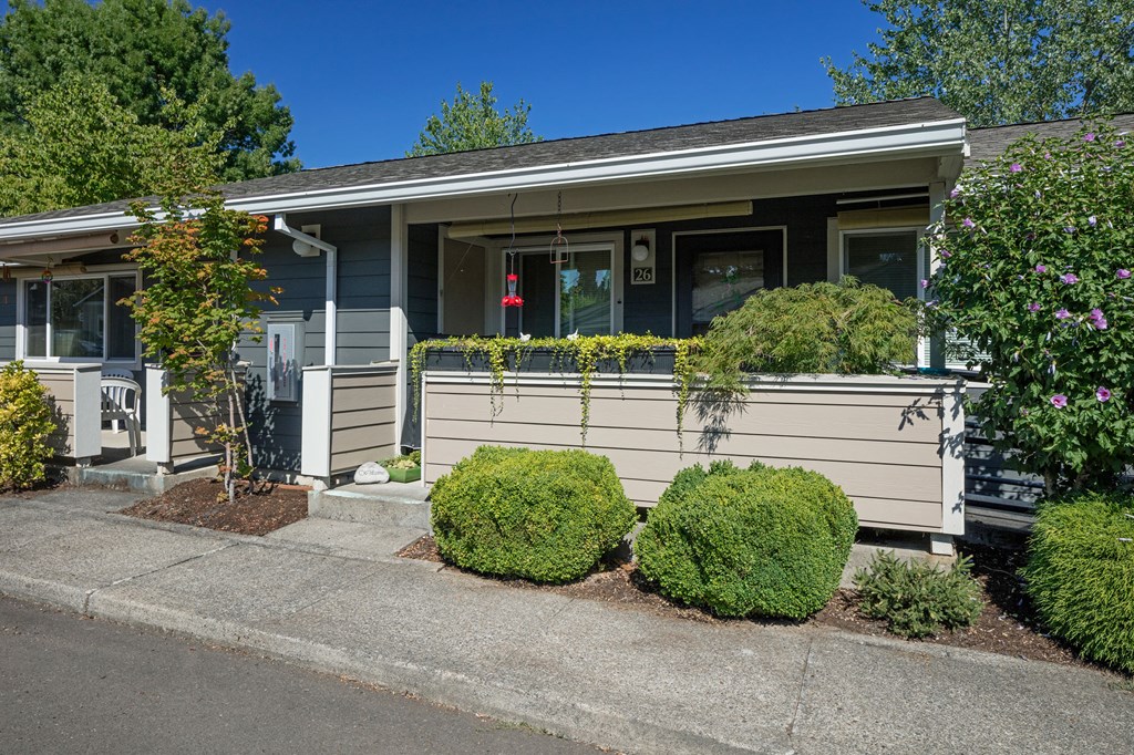 Stewart Terrace_GroundsStewart Terrace_Grounds