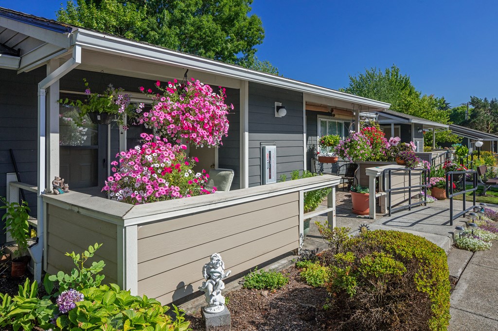 Stewart Terrace_Grounds