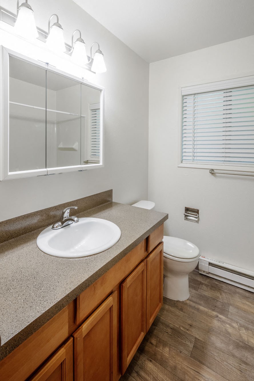 a bathroom with a toilet sink and mirror
