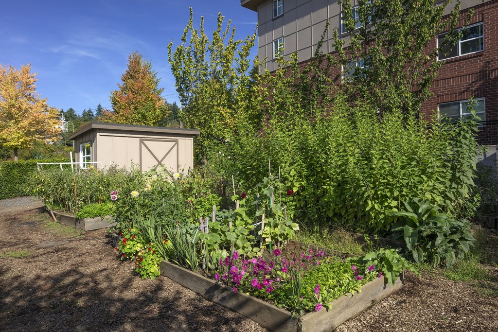 Terrace at Mount Scott Garden