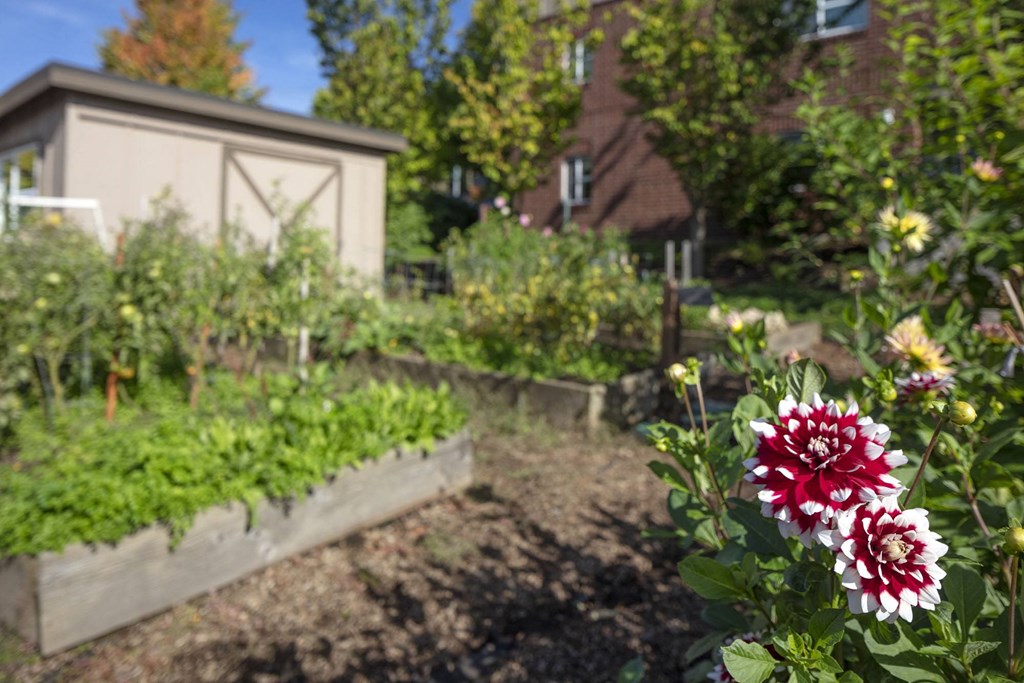 Terrace at Mount Scott Garden