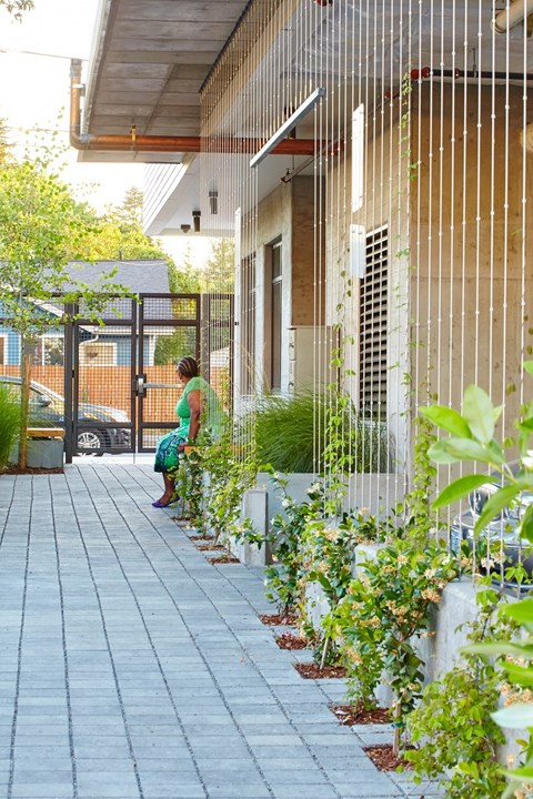 A woman is walking down a sidewalk lined with plants.