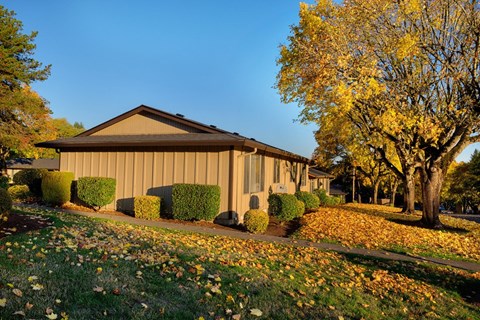 A building with a brown roof and a yellow tree in front of it.