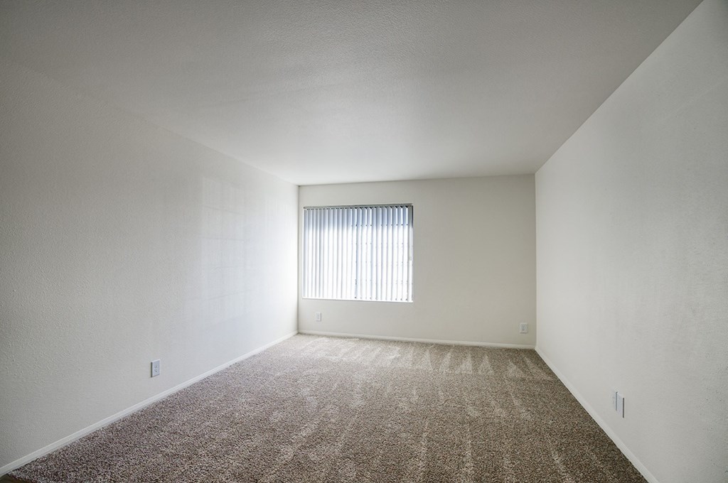 an empty room with carpet and a window