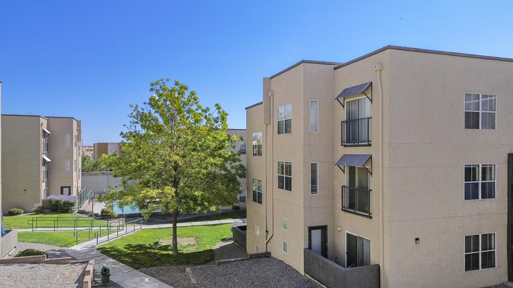 A tree in front of a building with a clear blue sky.