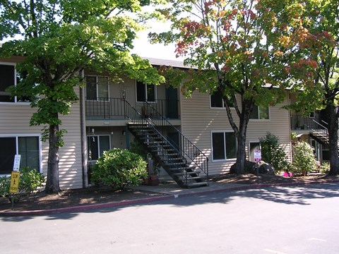 A tree with red leaves is in front of a beige building.