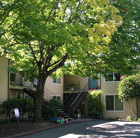 A tree with yellow flowers in front of a building.