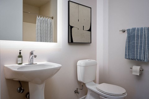 a bathroom with a sink and a toilet and a mirror