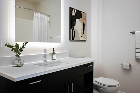 a bathroom with a sink and a mirror and a toilet