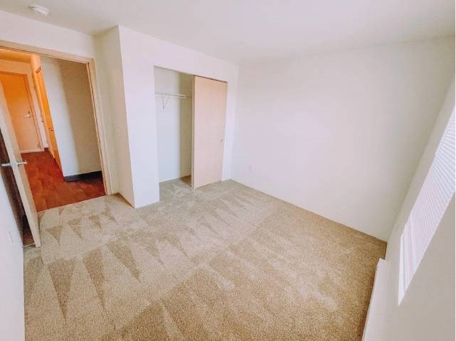 A room with a carpeted floor and white walls.